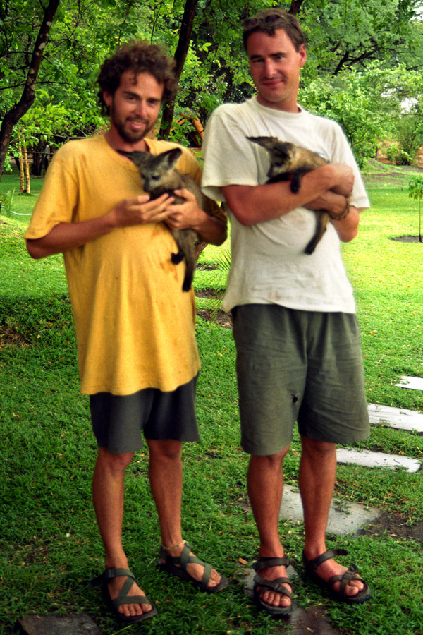 namibia/caprivi_kongola_brian_aren_bat_eared