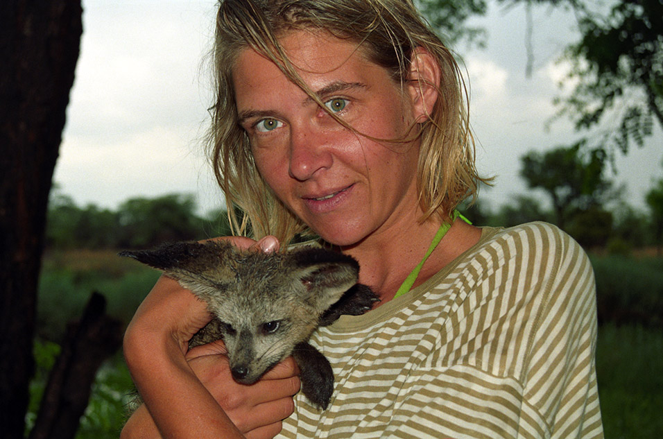 namibia/caprivi_kongola_marieke_bat_eared_2