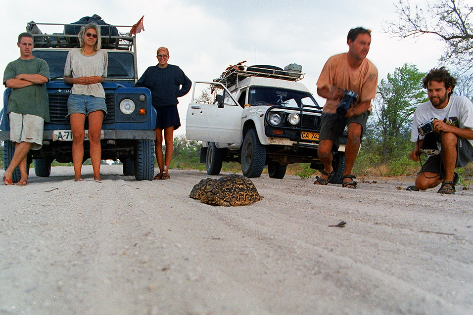 namibia/caprivi_leopard_tortoise_audience