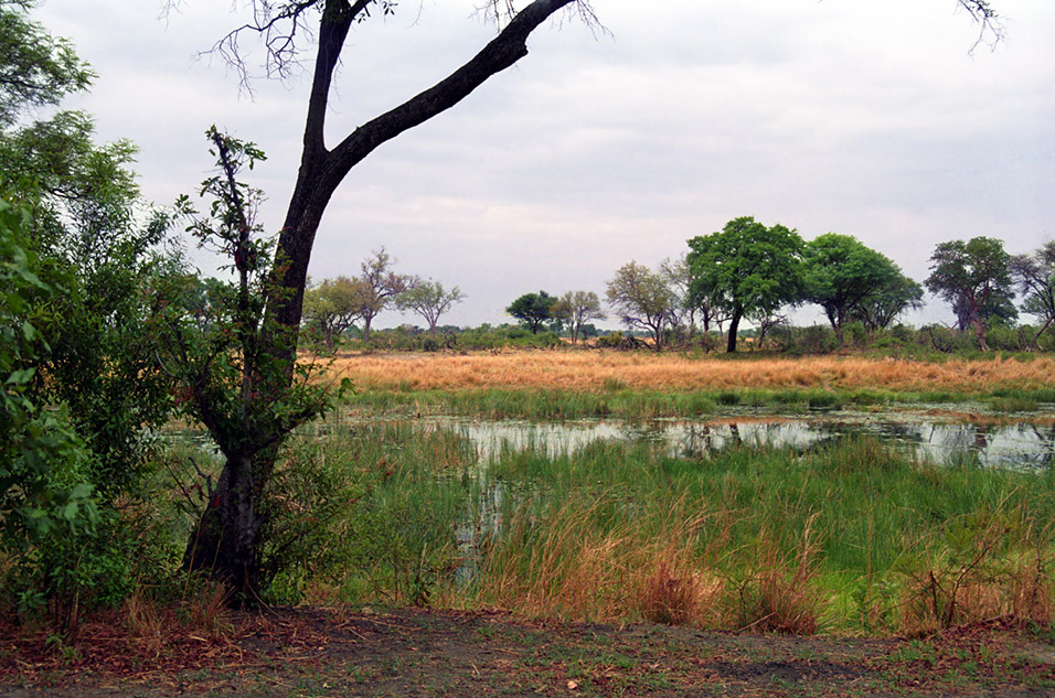 namibia/caprivi_mudumu_park