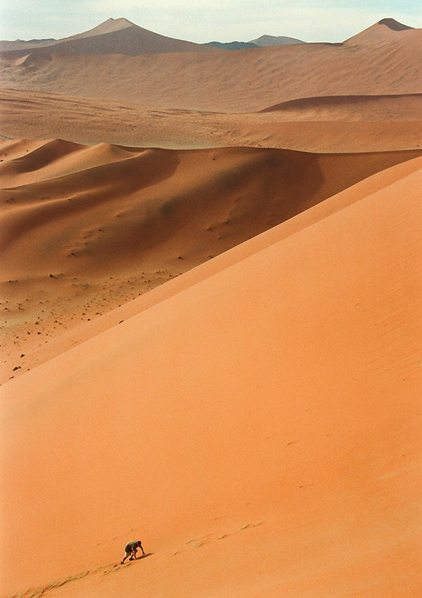 namibia/dune_45_todd_moon_climbing