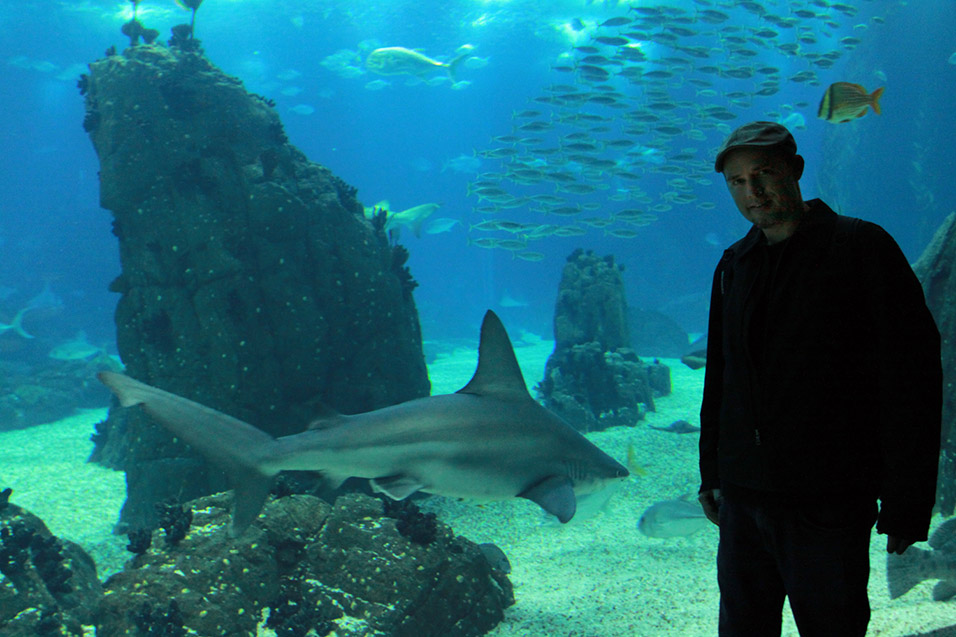 portugal/lisbon_oceanarium_brian_shark