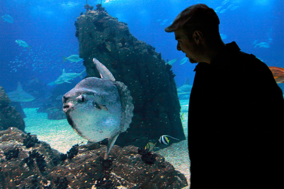 portugal/lisbon_oceanarium_brian_toby