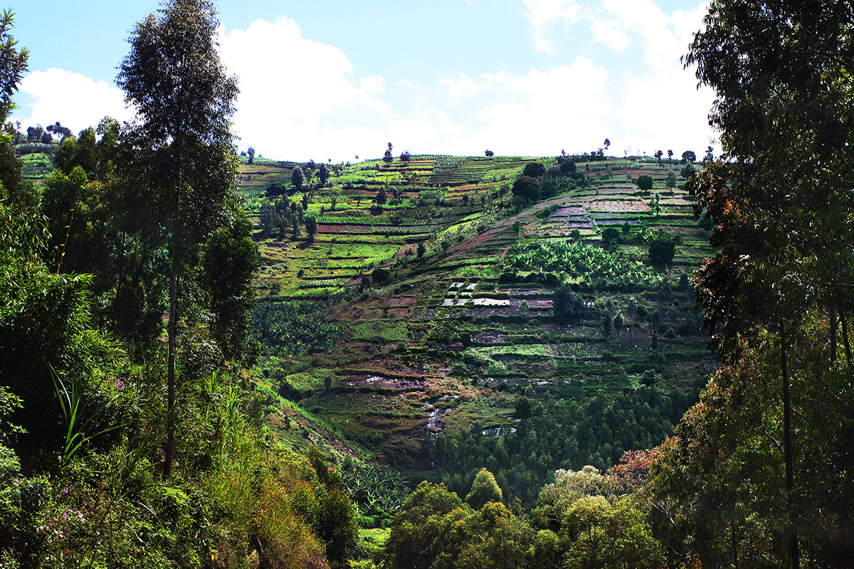 rwanda/rw_hill_dwellings