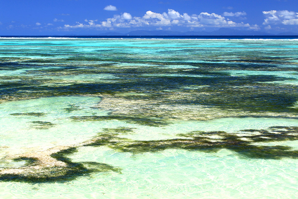 seychelles/la_digue_aqua_water