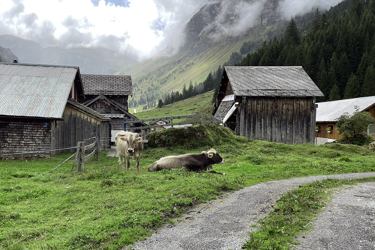 switzerland/zrc_mad_swiss_2032_2017_07_06