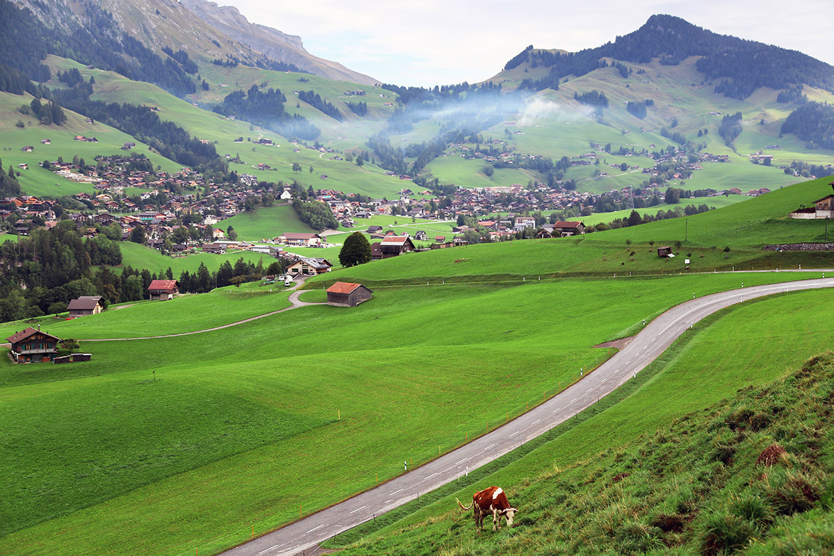 switzerland/zrc_mad_swiss_2032_2017_07_06