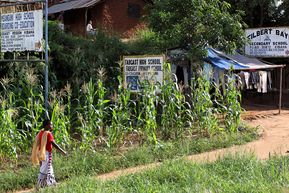 tanzania/2010/dar_road_school_signs