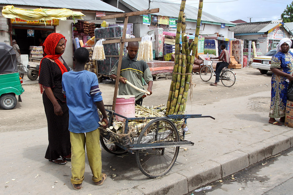 tanzania/2010/dar_selling_sugar_cane