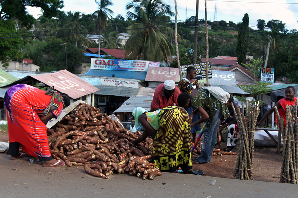 tanzania/2010/dar_yam_market