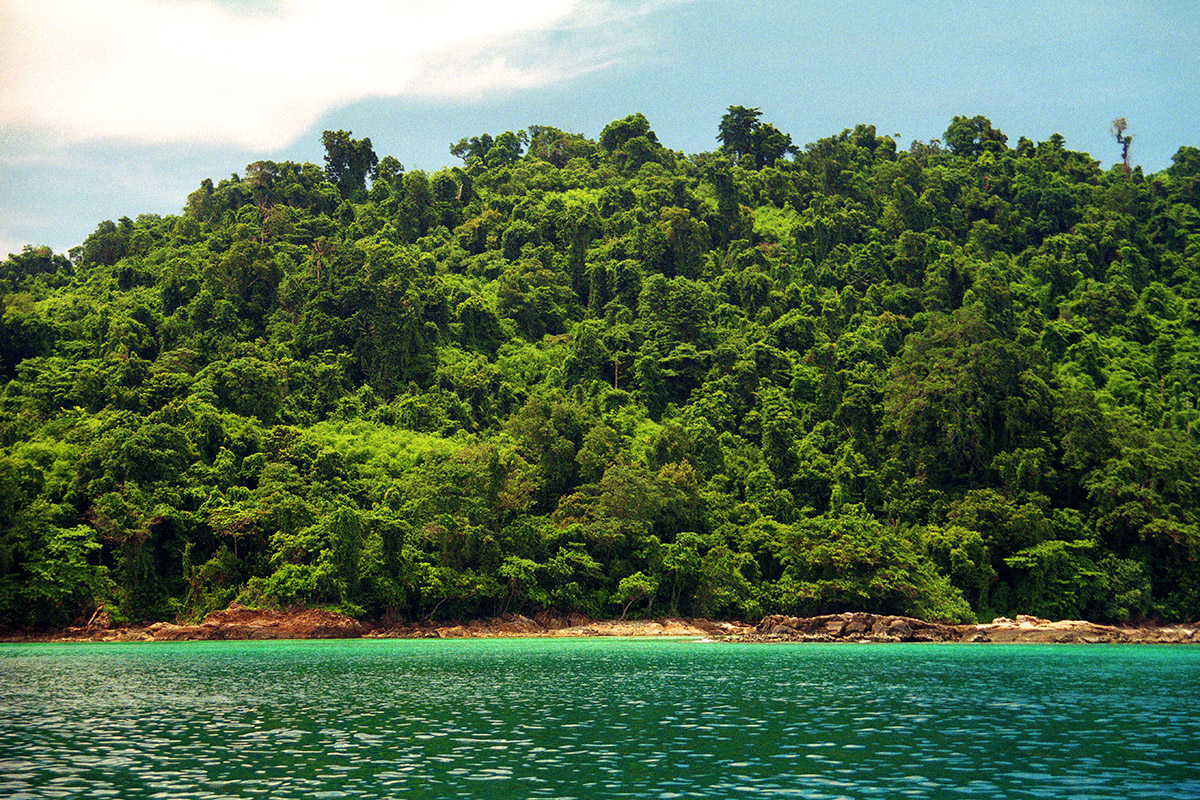 thailand/1999/ko_mac_forest_ocean_view