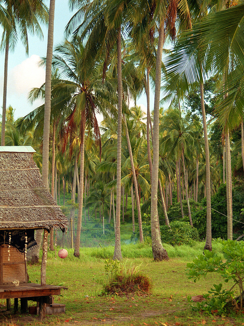 thailand/1999/ko_mak_palm_bungalow