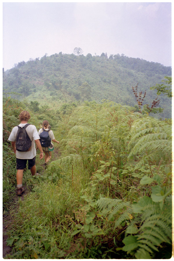 uganda/bwindi_congo_walk2