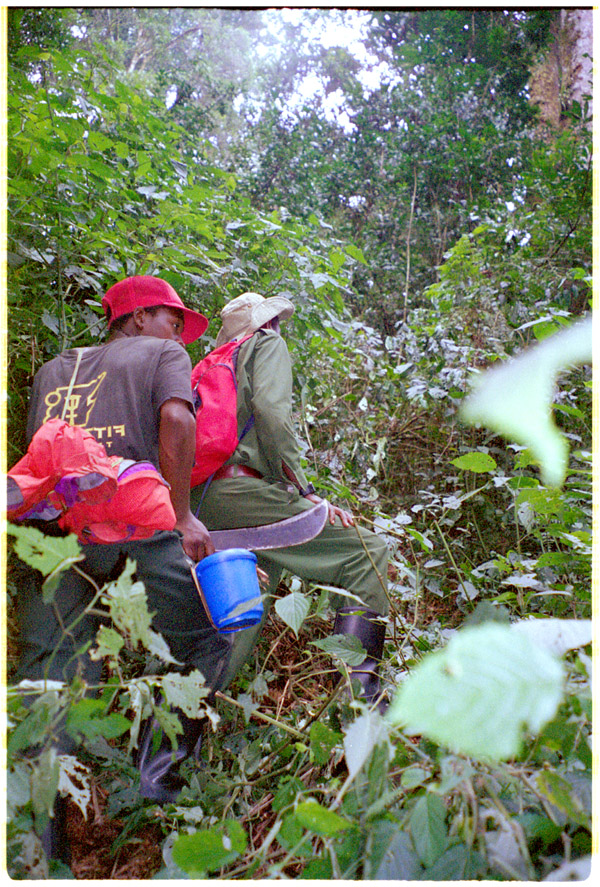 uganda/bwindi_gorilla_trackers