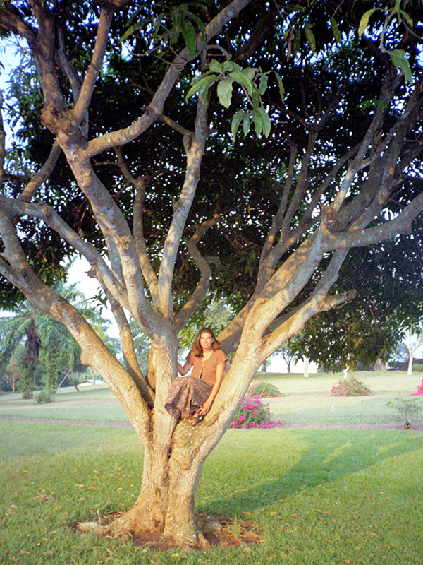 uganda/kampala_bahai_nicole_tree