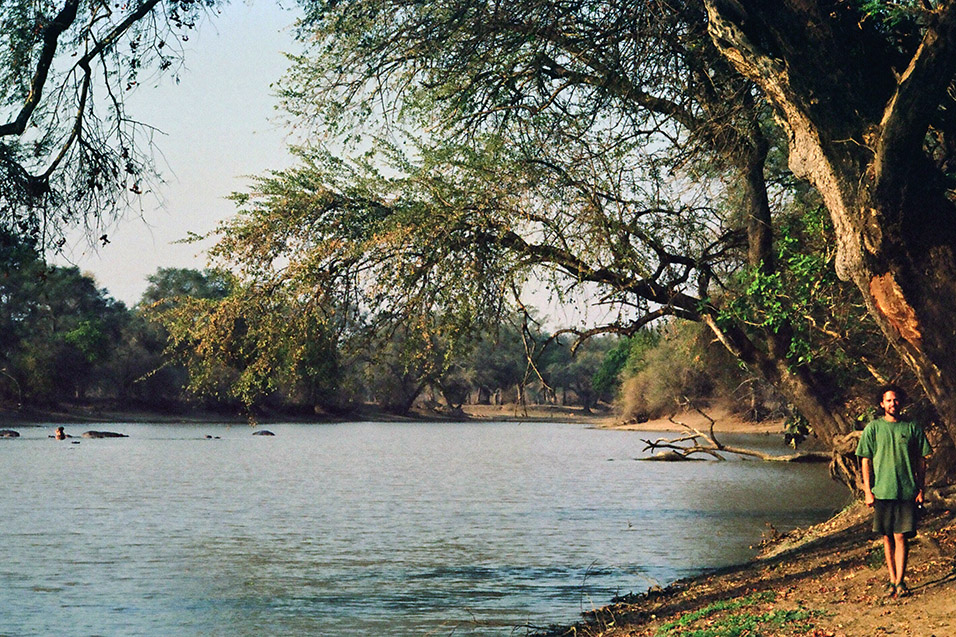 zimbabwe/mana_pools_brian_hippos