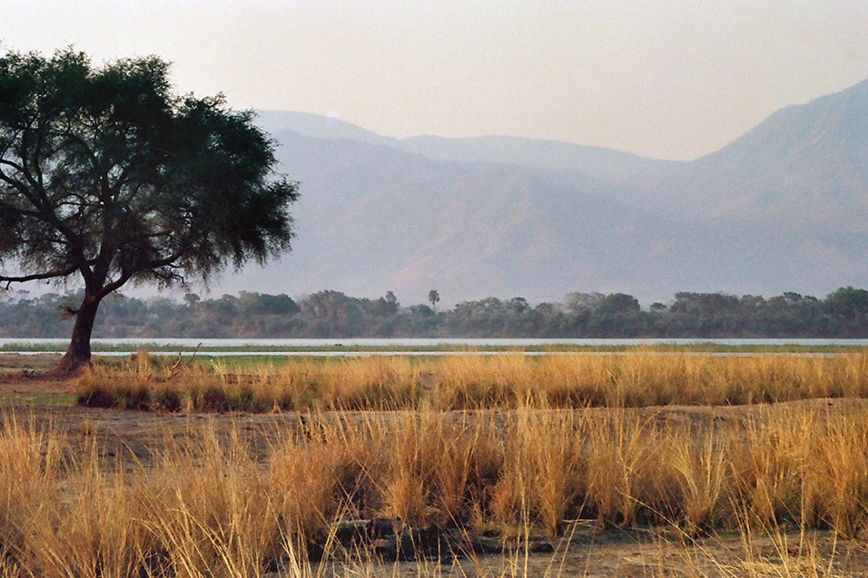 zimbabwe/mana_pools_camp_view_river